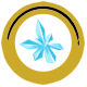 文件:Element 2.png