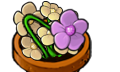 文件:Plant scene5.png