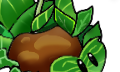 文件:Plant scene29.png