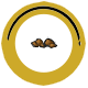 文件:Element 6.png